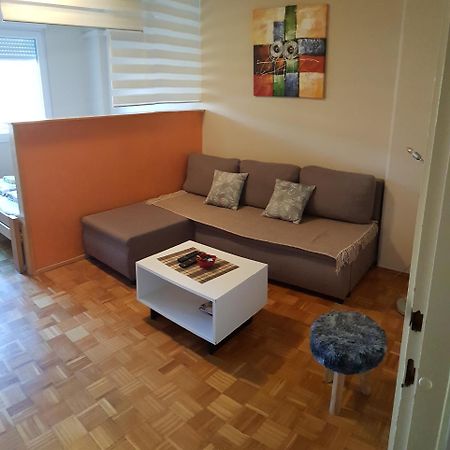 Apartman Vanja Beograd Bagian luar foto