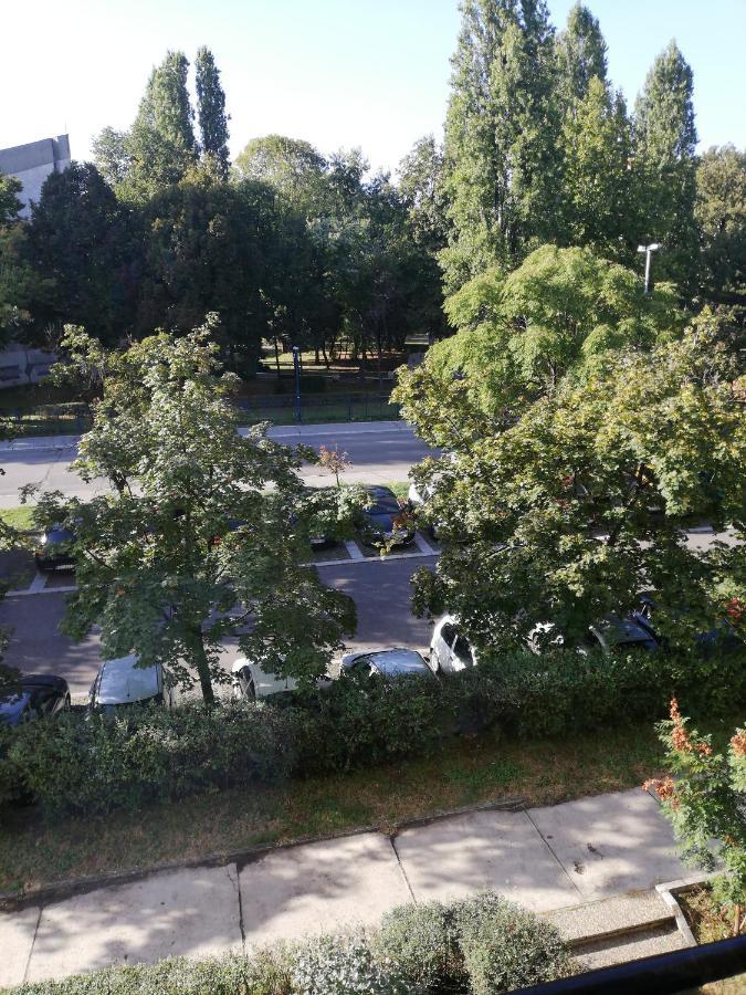 Apartman Vanja Beograd Bagian luar foto